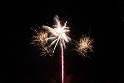 Low angle view of firework display at night