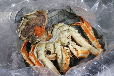 High angle view of fish in container