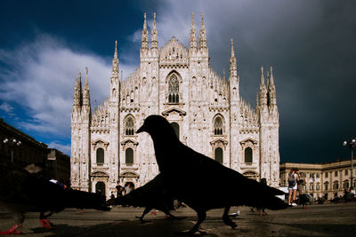 Silhouette of a pigeon in front of a church