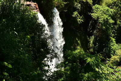 Close-up of wet tree against sky