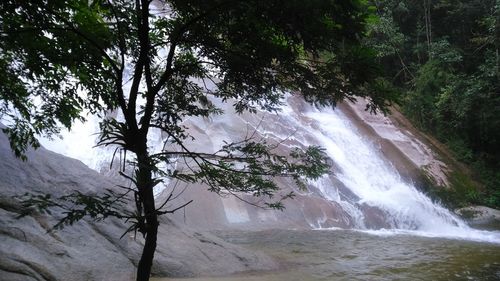 River flowing through forest