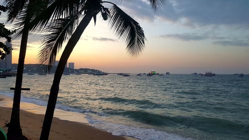 Scenic view of beach during sunset