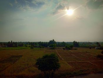 Scenic view of field against sky during sunset