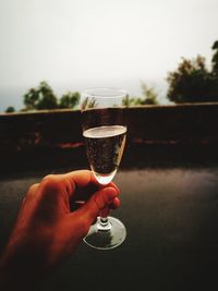 Close-up of hand holding wineglass against sky