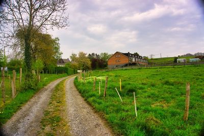 Scenic view of field by houses against sky