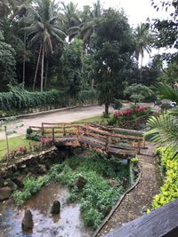 High angle view of palm trees in park