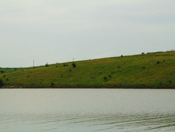 Scenic view of field against clear sky