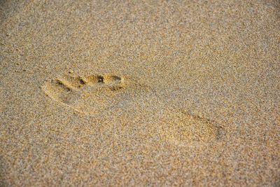 High angle view of footprints on sand