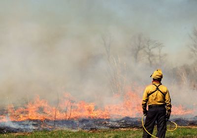 Rear view of fire fighter standing on in front of fire on field