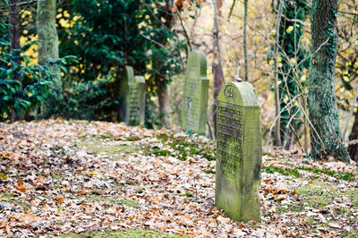 View of historical graves