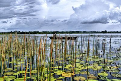 View of river against cloudy sky