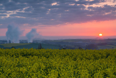 Scenic view of oilseed rape against landscape during sunset