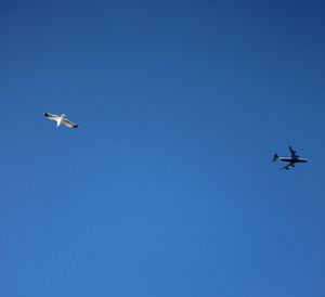 Low angle view of airplane flying against clear blue sky