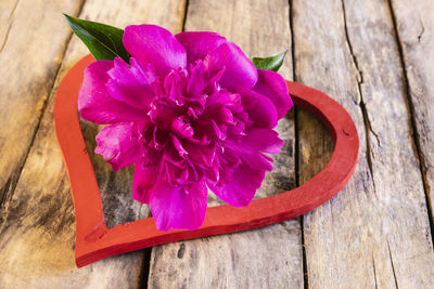 High angle view of pink flower on table