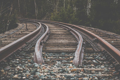 Railroad tracks amidst trees in forest