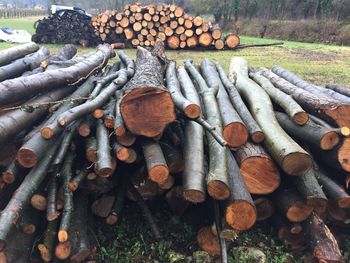 Stack of logs