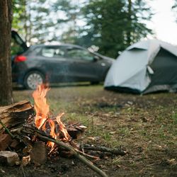 Camping in the forest near the bonfire