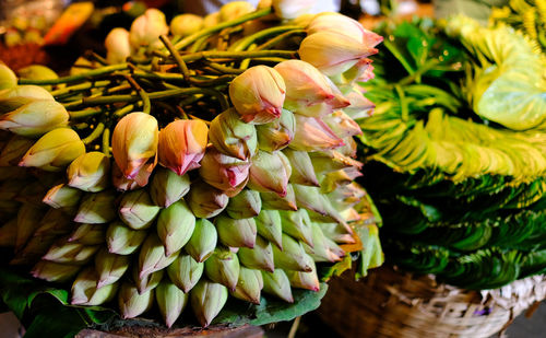 High angle view of flowering plant