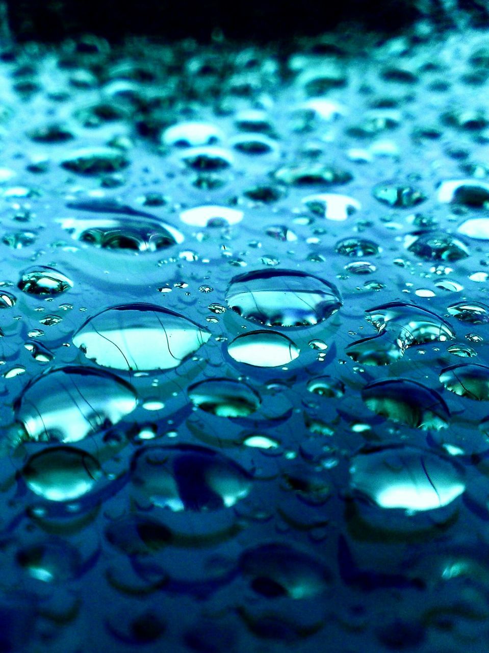 water, drop, close-up, bubble, wet, purity, full frame, backgrounds, transparent, freshness, blue, fragility, droplet, selective focus, pattern, focus on foreground, detail, nature, reflection, beauty in nature