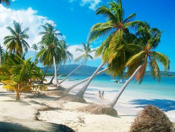 Tourists on beach