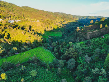 landscape