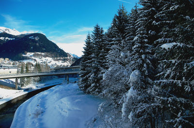 Snow covered trees by mountains against sky