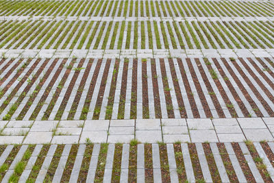 Full frame shot of patterned flooring