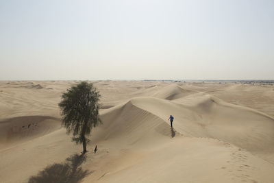 Scenic view of desert against clear sky