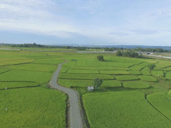 Scenic view of agricultural field against sky