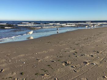 Scenic view of beach against clear sky