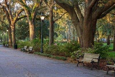 Empty bench in park