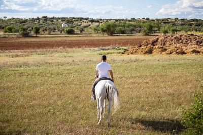 Rear view of man riding horse on field