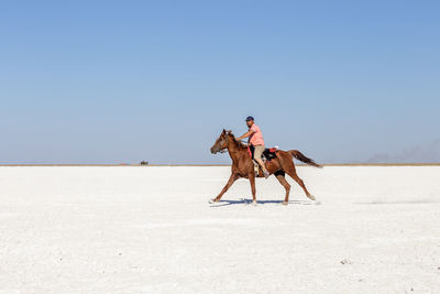 Men riding horse on desert against clear sky