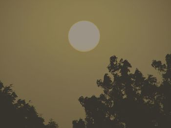 Low angle view of tree against sky at night