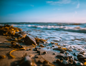 Close-up of rocks on beach against sky