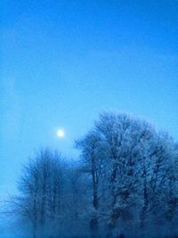 Scenic view of snow covered landscape