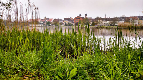 View of river with buildings in background