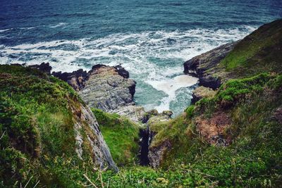 Scenic view of sea shore