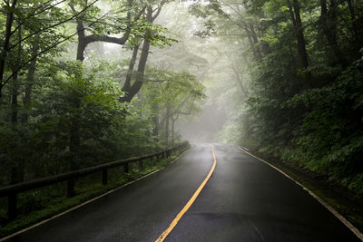 Empty road amidst trees in forest