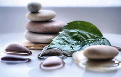 Close-up of wet stones and leaf