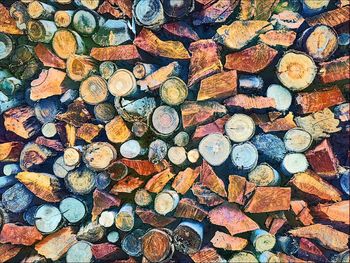 Full frame shot of logs in forest