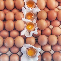 egg