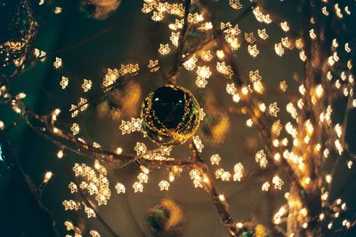 Close-up of illuminated light bulb