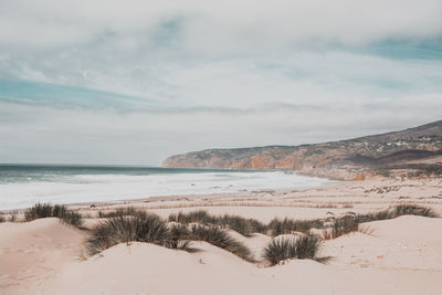 Scenic view of beach against sky