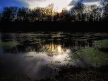 Scenic view of lake in forest against sky