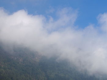 Low angle view of trees against sky