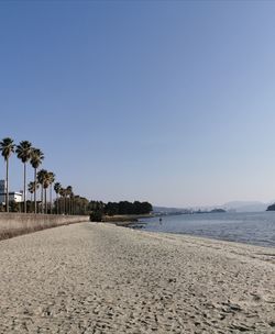 Scenic view of beach against clear sky