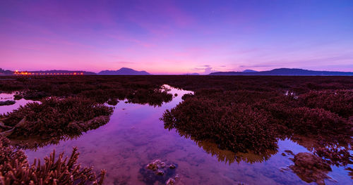 Scenic view of landscape against sky during sunset