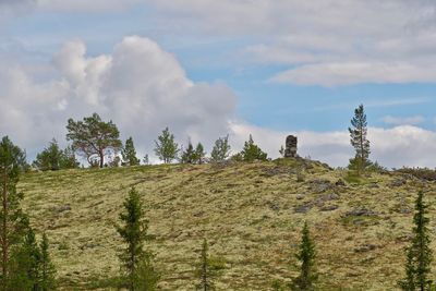 Panoramic shot of trees on field against sky