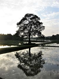 Silhouette tree by lake against sky